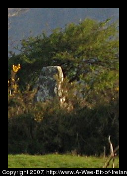closeup view of standing stone behind a stone wall and in front of a tree,