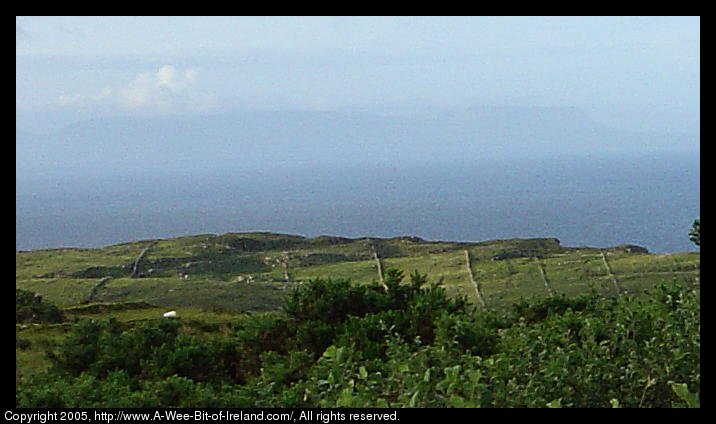 View from Hill West of Kilcar, Donegal. There are old stone fences
dividing the hillside into small pastures. The blue water of Donegal Bay
and the purple Benbulben Mountain are in the background.