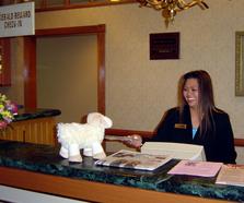 check in at Fitzgeralds Hotel