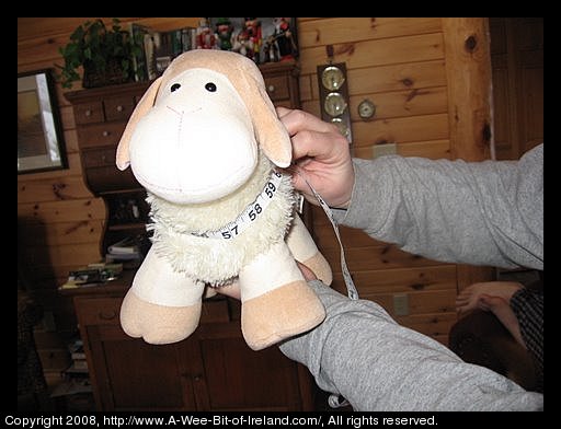 Curious Sheep is a stuffed toy sheep. Curious Sheep is being fitted for a tuxedo.