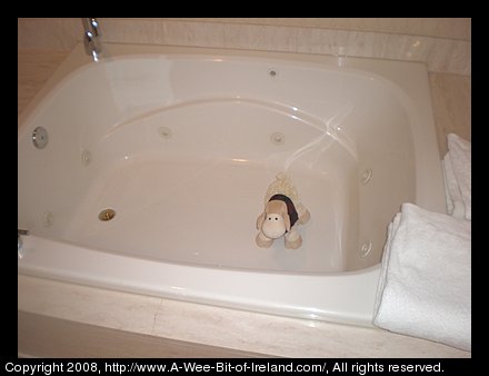 Curious Sheep is a stuffed toy sheep. Curious Sheep is in a bath tub.