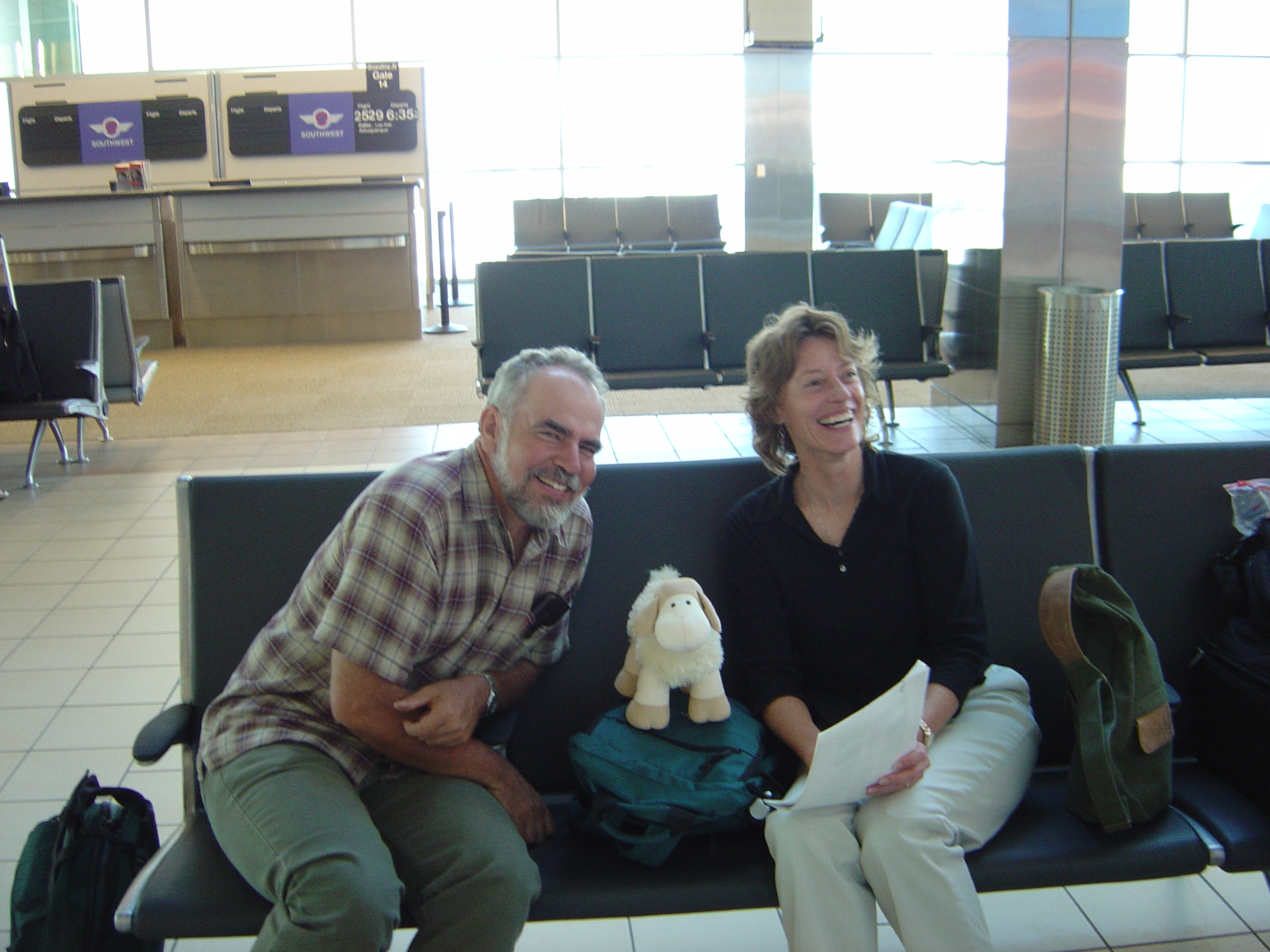 Curious Sheep looks over travel agenda with friends