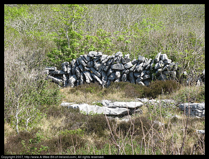 A stone fence in the Burren. There are holes in the fence as the stones are uncut and are stacked to make the tallest fence with the least stones.