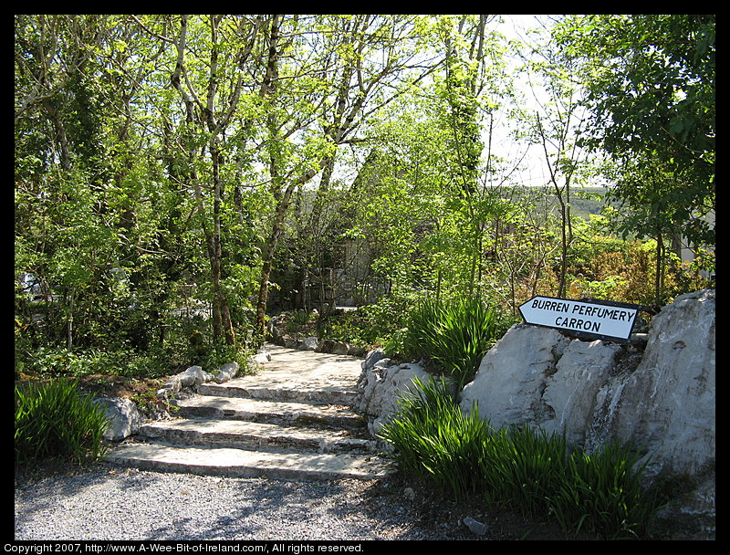 A sign saying Burren Perfumery on a rock in a wooded area 