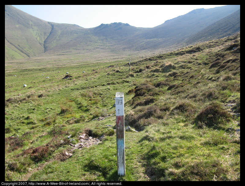 Mountain covered with grass and brown blanket bog with a square wooden post painted white and red.