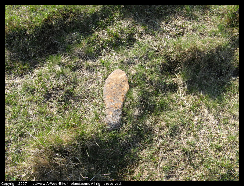 Stone shaped like a footprint