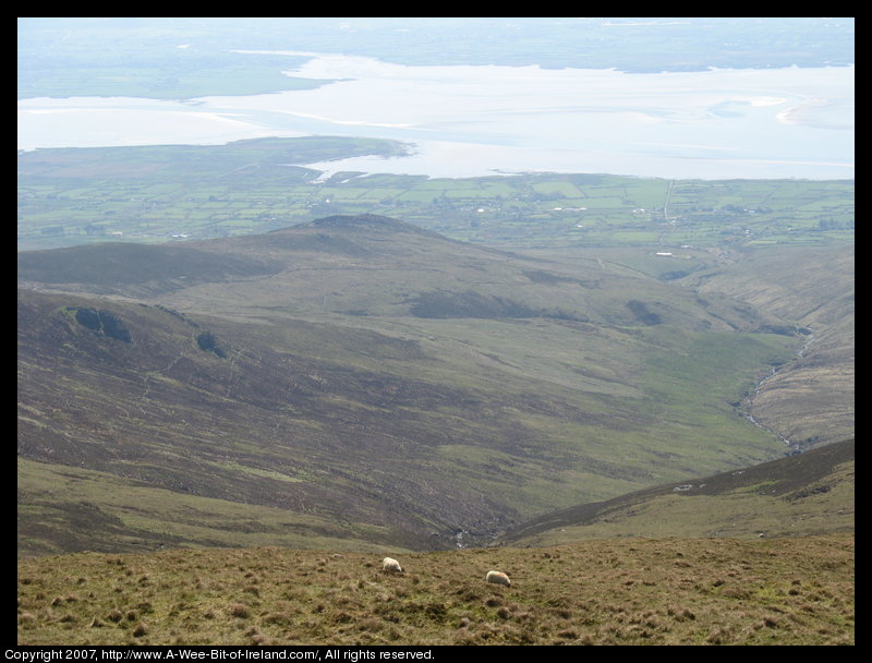 Mountain covered with grass and brown blanket bog