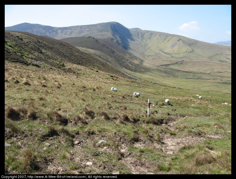 Mountain covered with grass and brown blanket bog