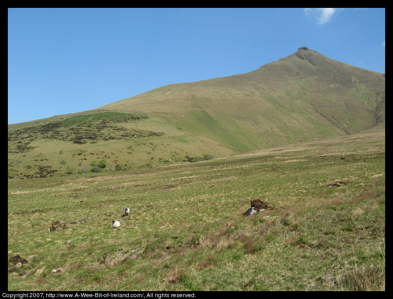 Mountain covered with grass and brown blanket bog