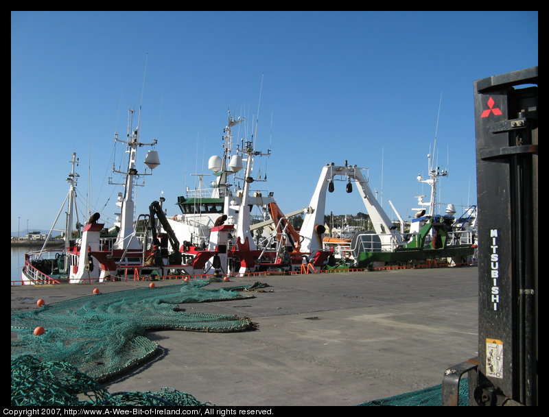 Fishing nets with floats laid out for repair and many ships in the harbor