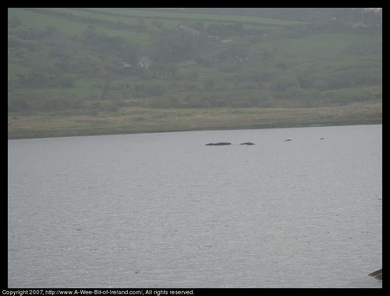 Rocks rising above the surface of the lake look a little like the photos of the Loch Ness monster that have been published.