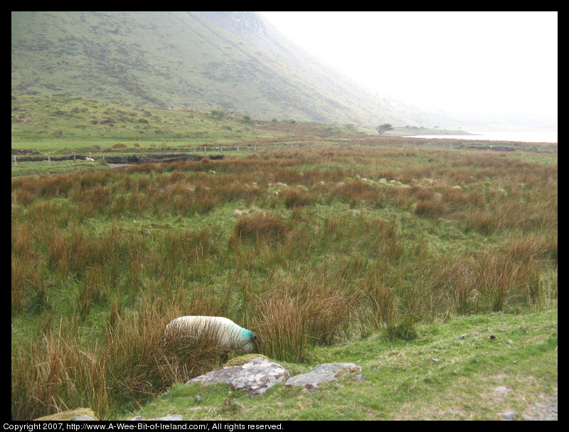 Lough Anscaul