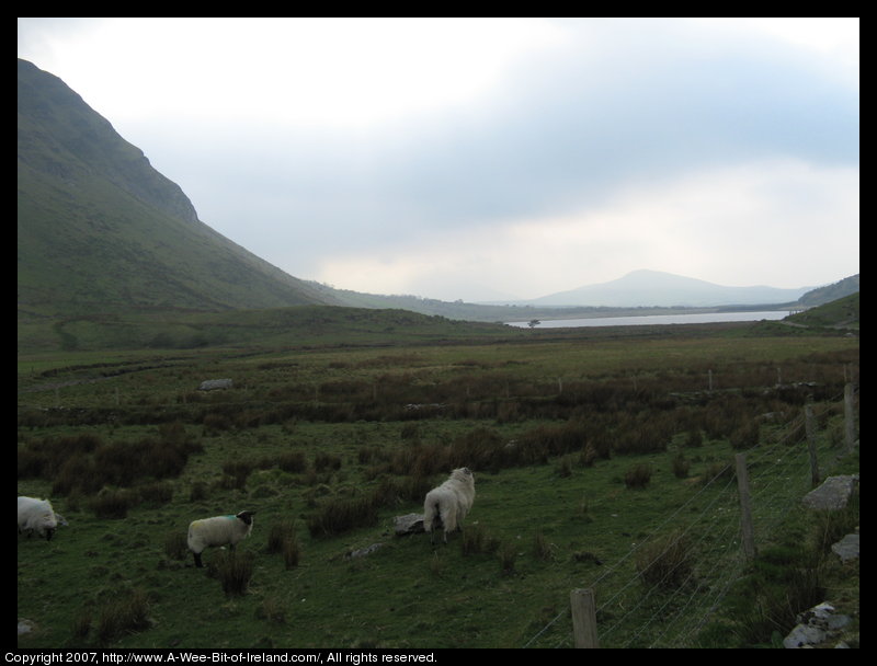 Lough Anscaul