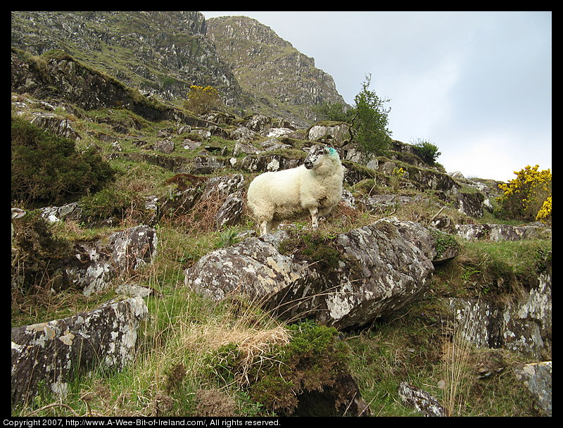 Lough Anscaul