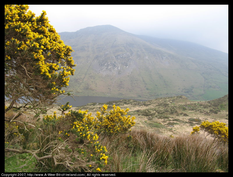 Lough Anscaul