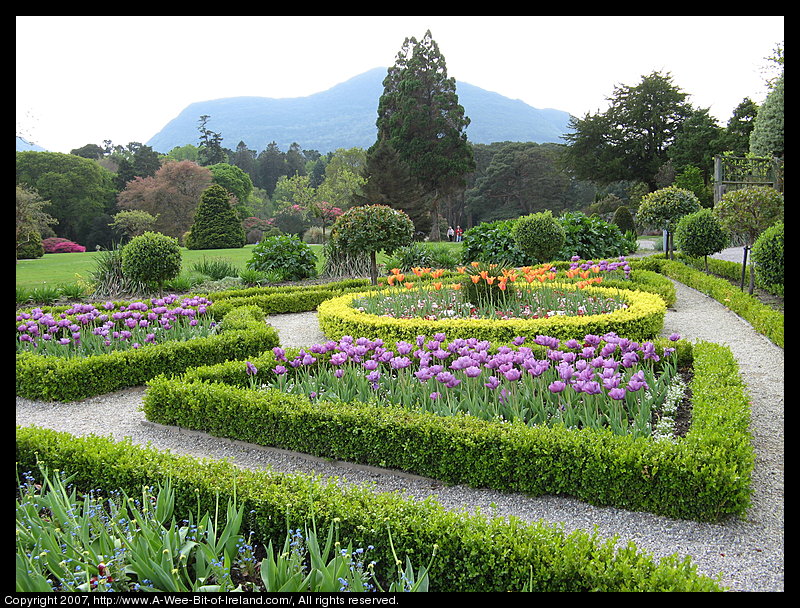 Formal gardens with tulips blooming and trees and a mountain in the backgroune.