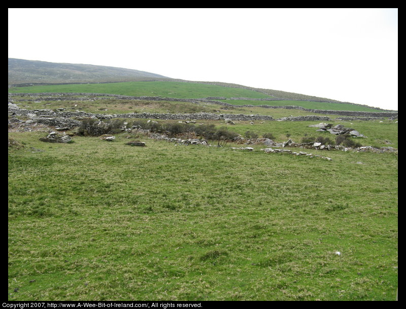 Stone walls and possible ruins of other stone structures near Clochan.