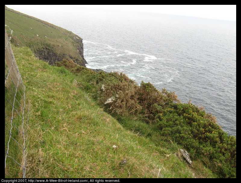 Green grass with a drop to the ocean below.