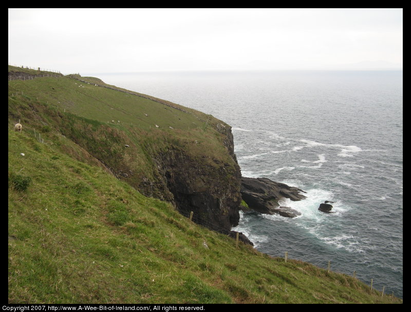 Green grass above cliffs with ocean waves and white spray below.