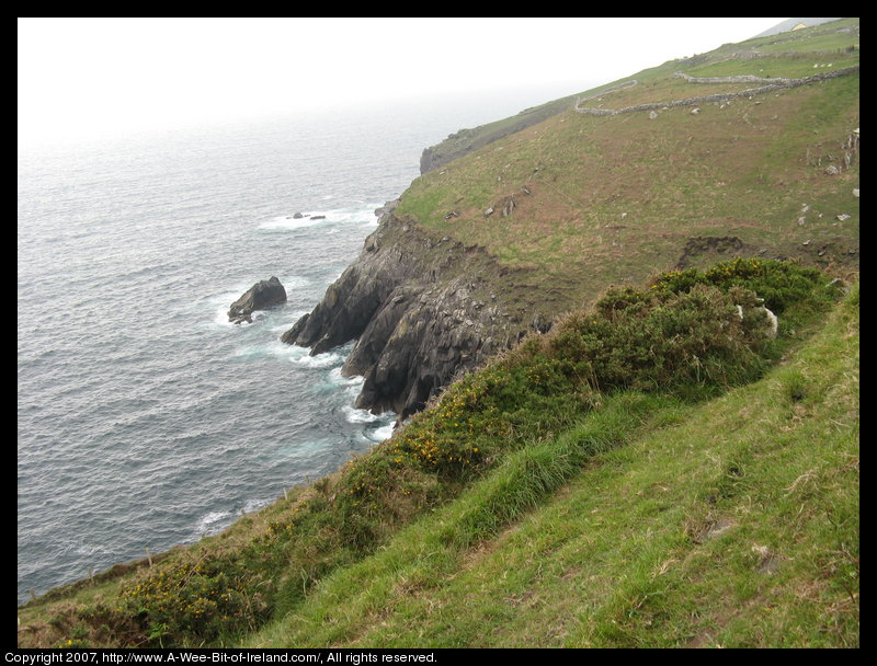 Cliffs, grass, rocks, and ocean.