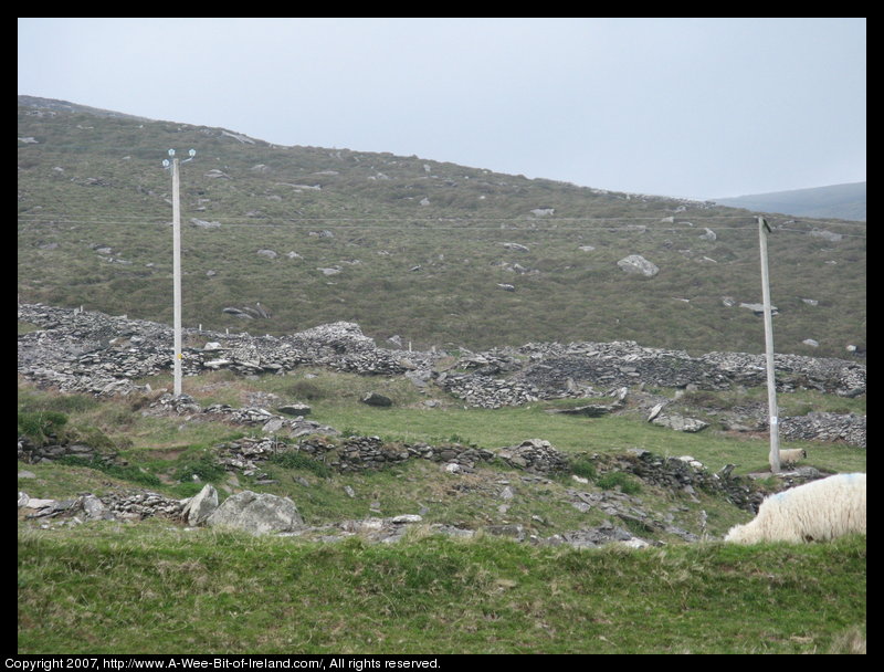 Stone fences, ruins of stone buildings, a sheep grazing, and electric power poles.