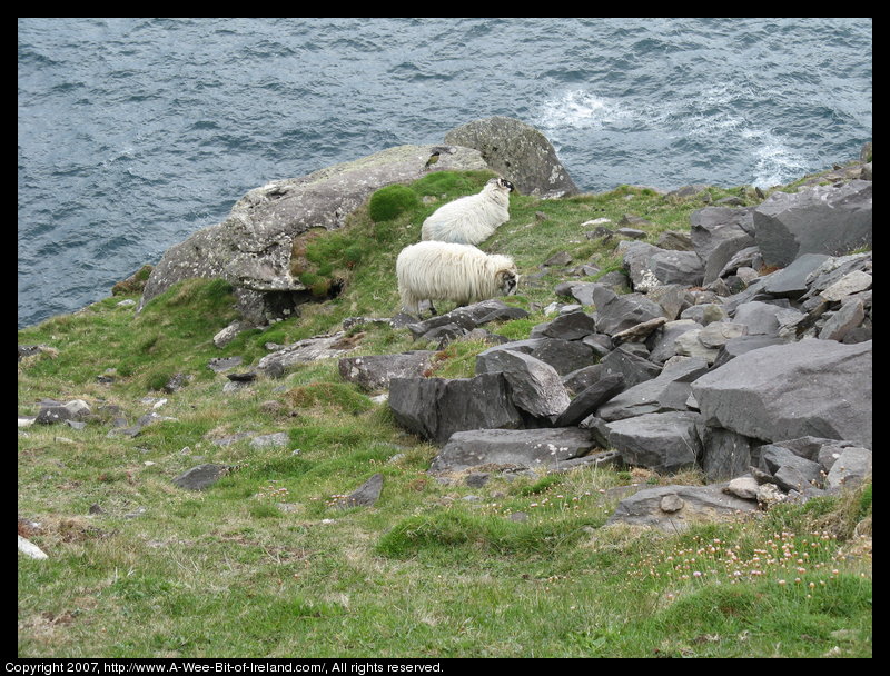 Slea Head Scenic Drive