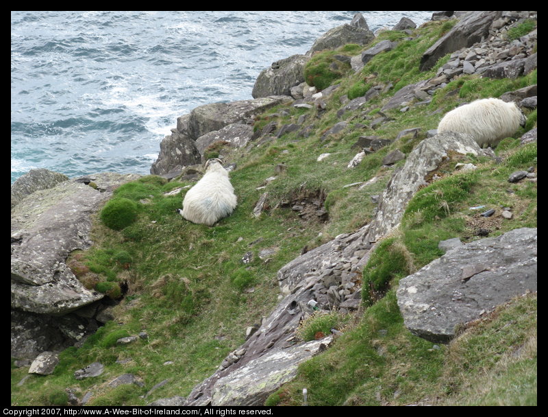 Slea Head Scenic Drive