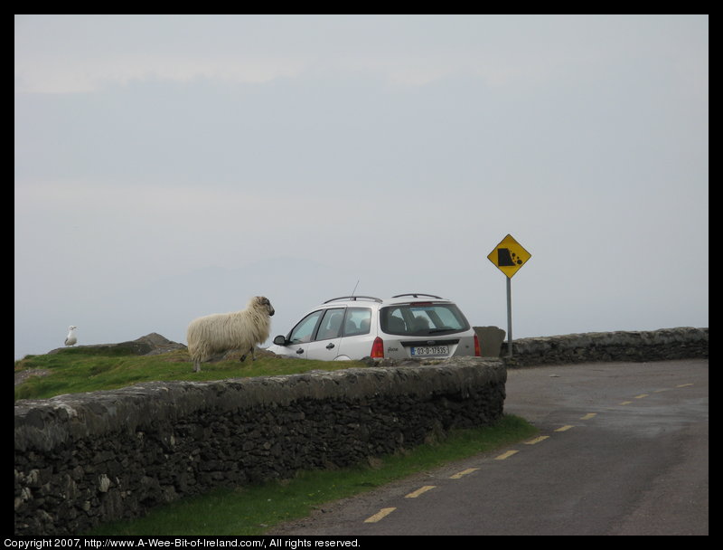 Slea Head Scenic Drive