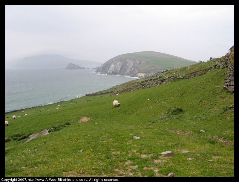 Slea Head Scenic Drive