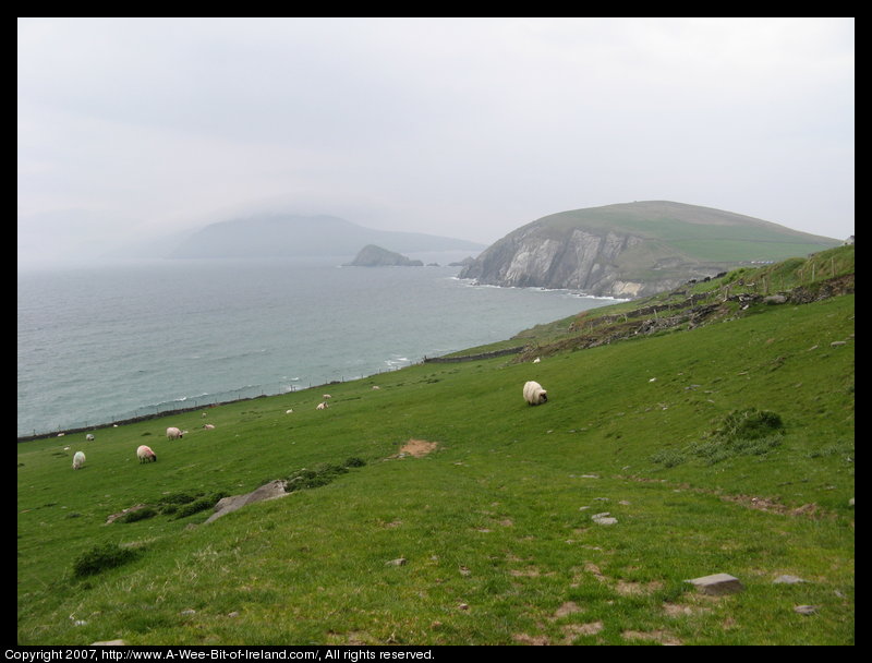 Slea Head Scenic Drive