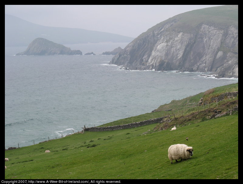 Slea Head Scenic Drive