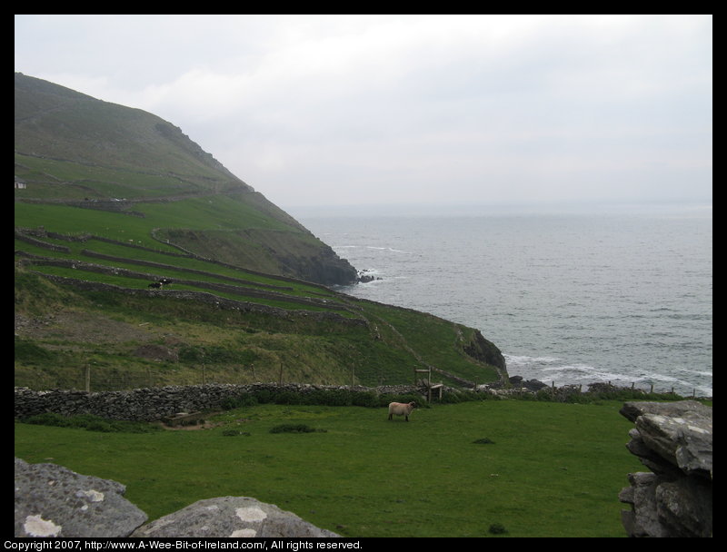 Slea Head Scenic Drive