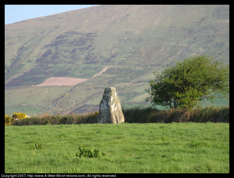 standing stone in a green pasture near stone walls that are much more recent with a mountain in the background.