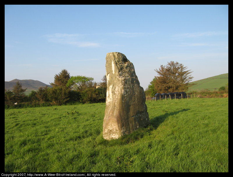 standing stone in a green pasture near stone walls that are much more recent with mountains in the background and a post and wire fence and some trees.