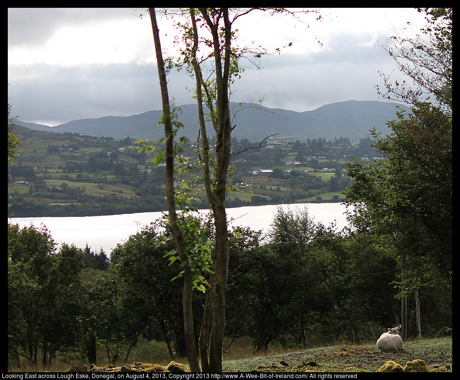 A sheep lying on grass and trees in the foreground with a lake and mountains in the background.