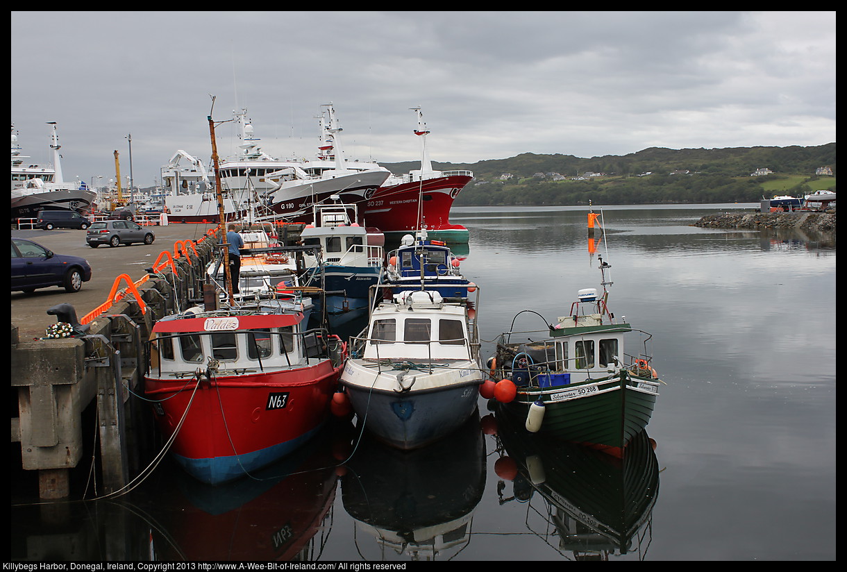 A harbor with various sizes of boats and ships.