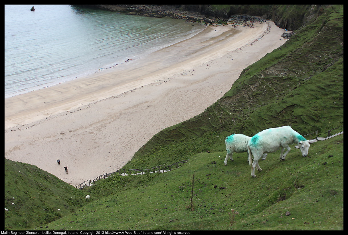 A beach surrounded by cliffs. There are many steps going down to the beach and sheep grazing on the cliff.