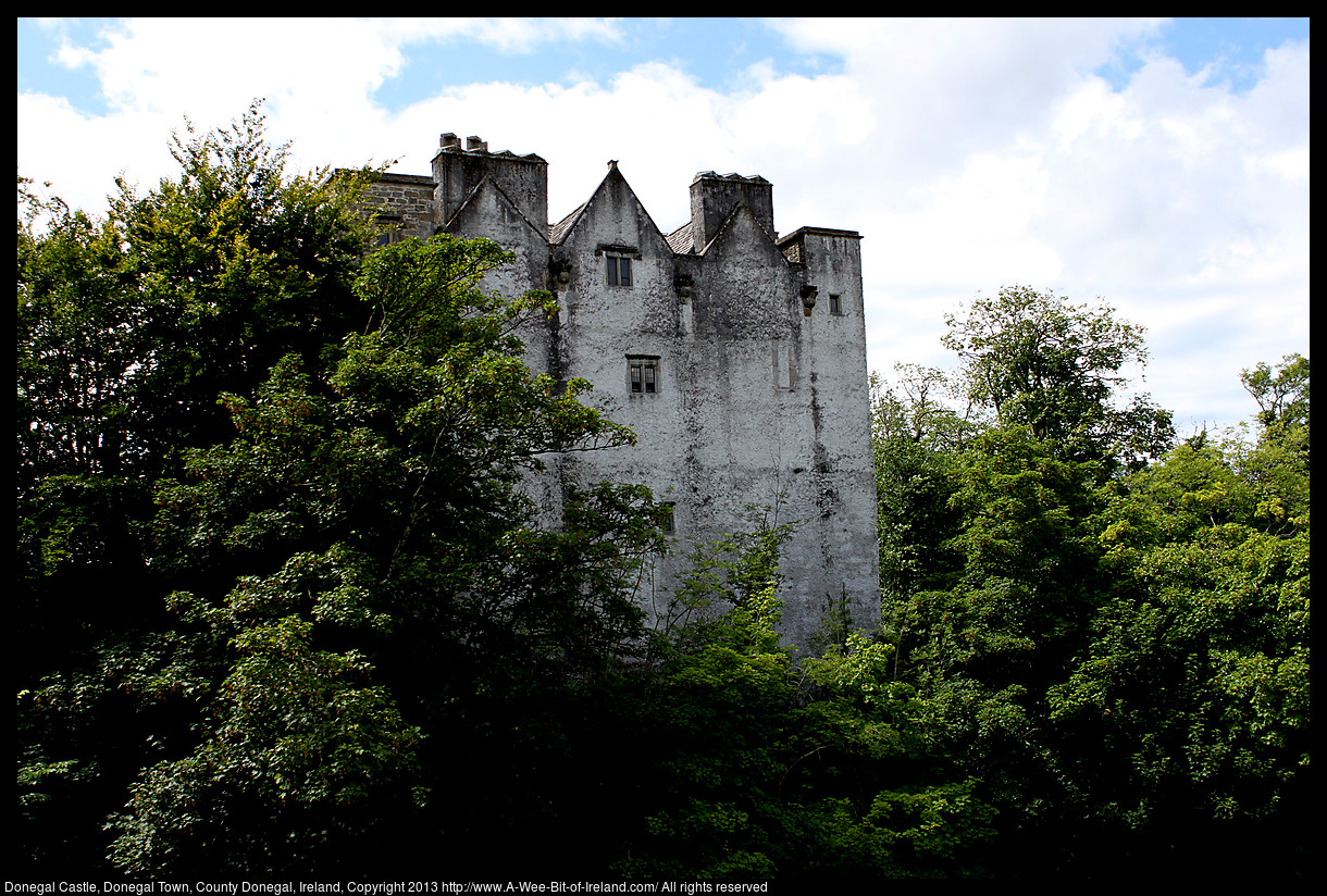 A Castle on the bank of a river with trees growing next to the walls.