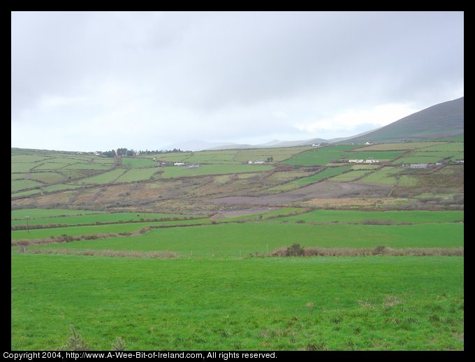 Dingle hillside