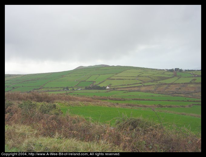 Dingle hillside