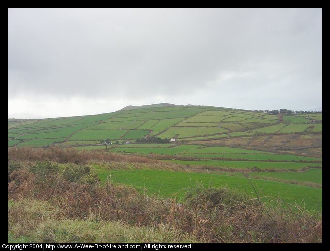 Dingle hillside