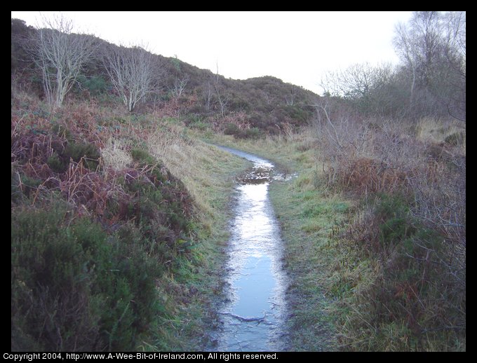 County Donegal