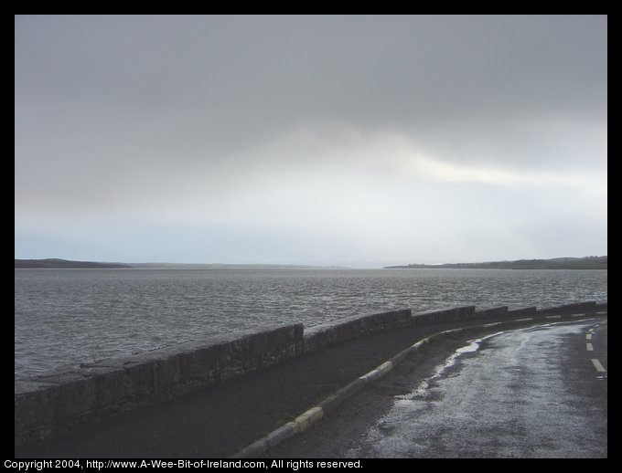 Shannon River Estuary