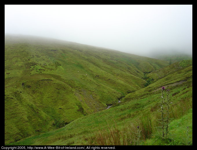 Looking across a very green valley with a swift stream at the bottom. There are a few sheep on the far hillside.