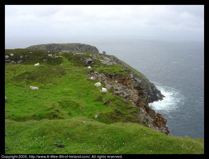 Carrigan Hill. Cliffs with Atlantic Ocean waves crashing against them.