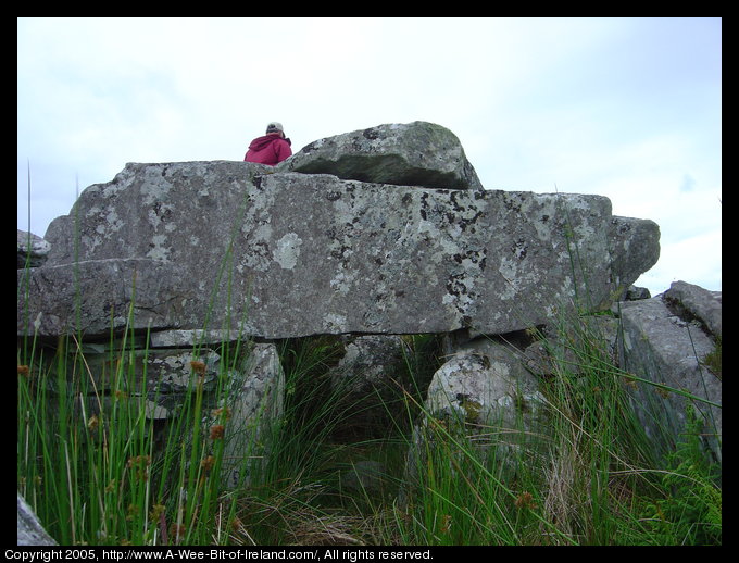 Cloghanmore megalithic tomb