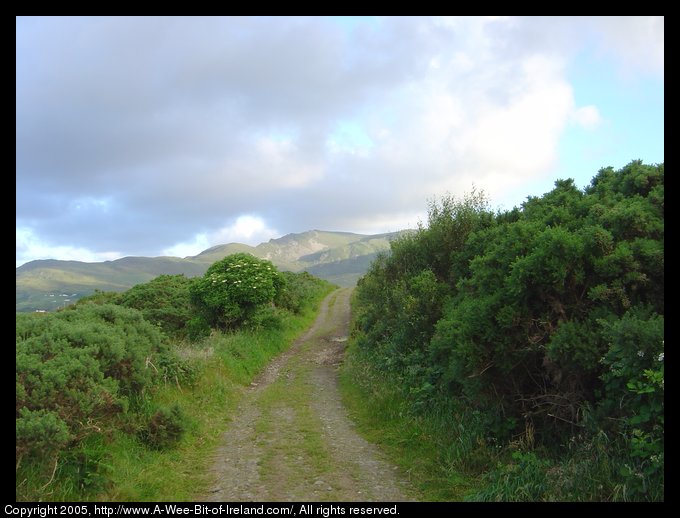 Road over a hill near Kilcar, Donegal. There are mountains on the
      horizon with clouds over the mountains. The road is a one lane 
      gravel track with grass growing between the wheel ruts and tall
      hedges on either side.