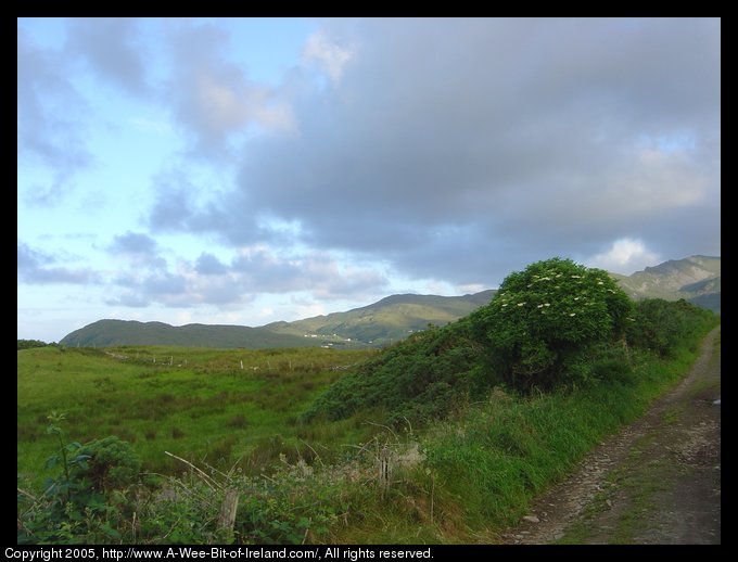 Road over a hill near Kilcar, Donegal. The road is a gravel track
with grass growing in the middle. On the left is a green hedge and a
bush with white flowers. On a distant mountain side the sun is shining
on houses that appear as white specks. There are purple clouds interspersed
with blue sky.