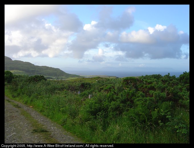 Road over a hill near Kilcar, Donegal. The road is a gravel track
with grass growing in the middle. Bunbulben Mountain across Donegal Bay
in County Sligo is a slightly darker color than the rest of the horizon.