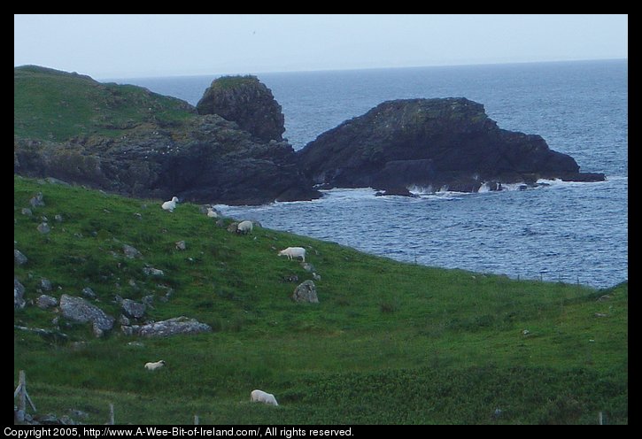 Dundawoona Point near Kilcar, Donegal. In the foreground are sheep
grazing among rocks near the ocean and in the background waves are crashing
against a rocky point sending spray high into the air.